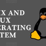 How to find top 5 largest files in directories on Linux/Unix